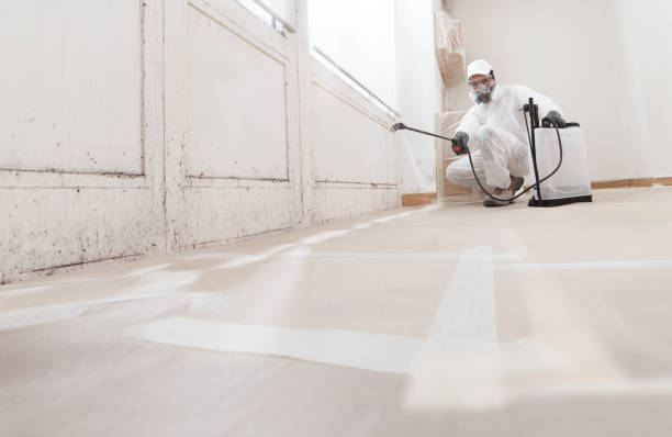 24/7 Emergency Attic Mold Removal experts in Sperryville, VA